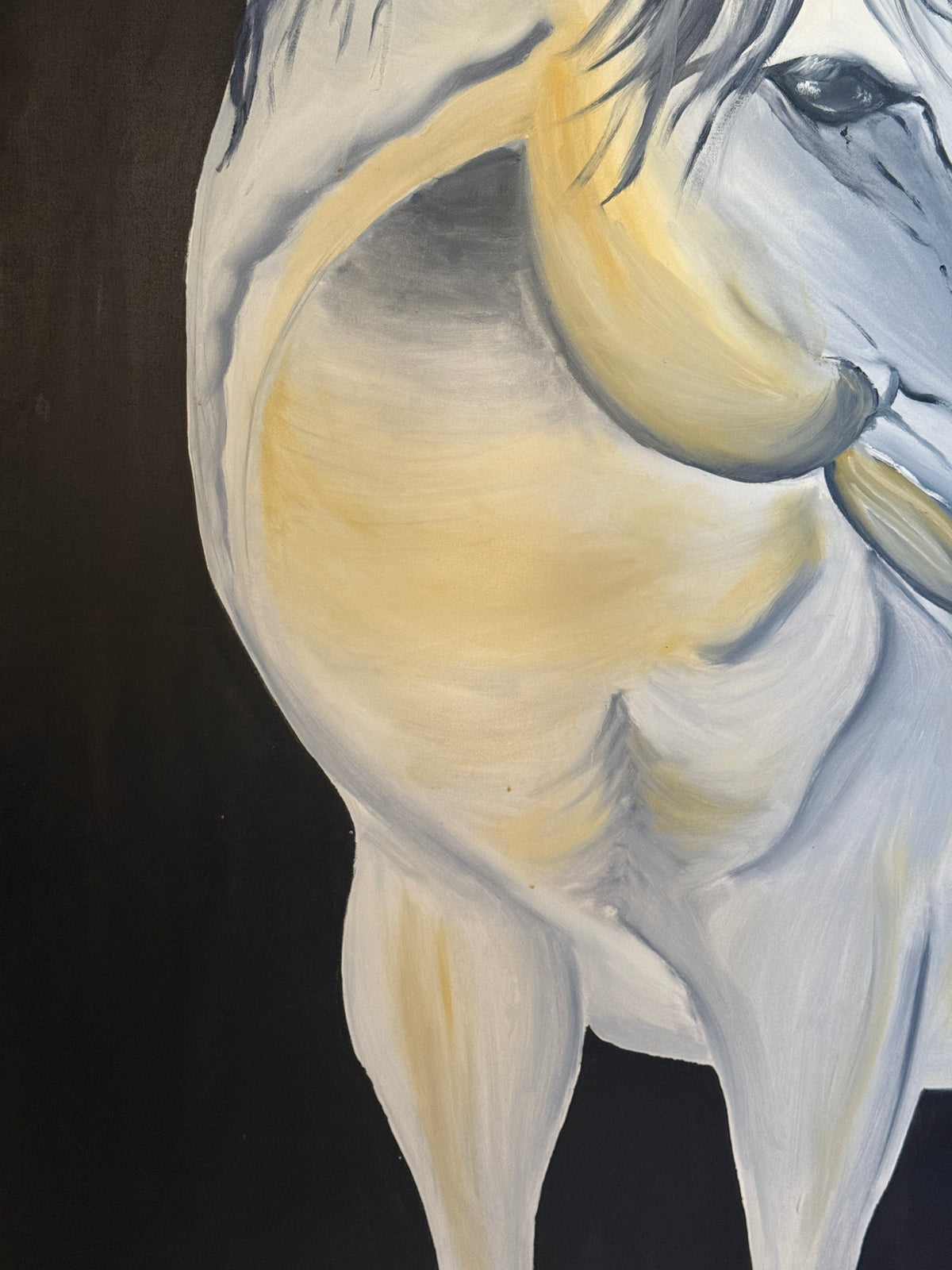 Horse | Original Contemporary Oil Painting – 100 x 150 cm Modern Abstract Artwork